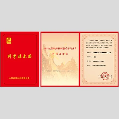 Giải Nhất Giải thưởng Tiến bộ Khoa học và Công nghệ
